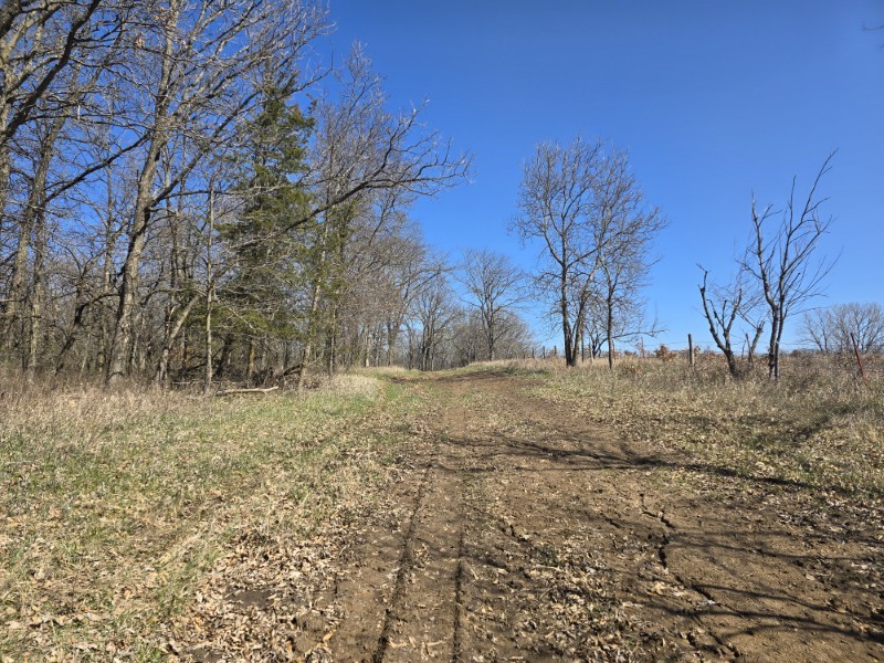 Listing photo 44